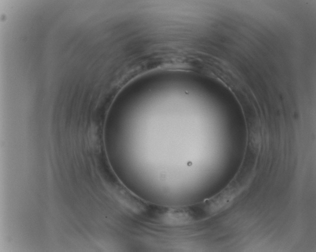 X0000063520270200601271843