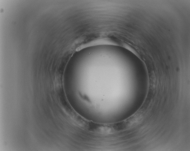 X0000063520272200601271843