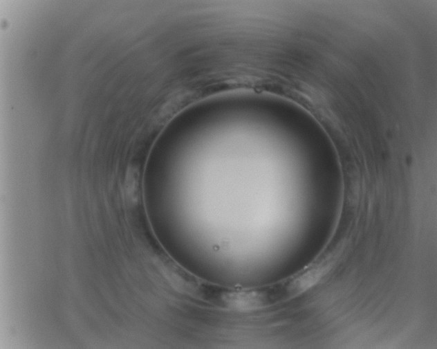 X0000063520273200601271843