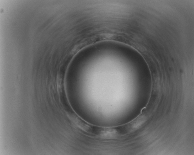 X0000063520274200601271843