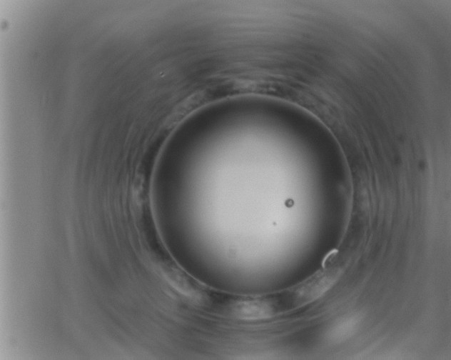 X0000063520275200601271843