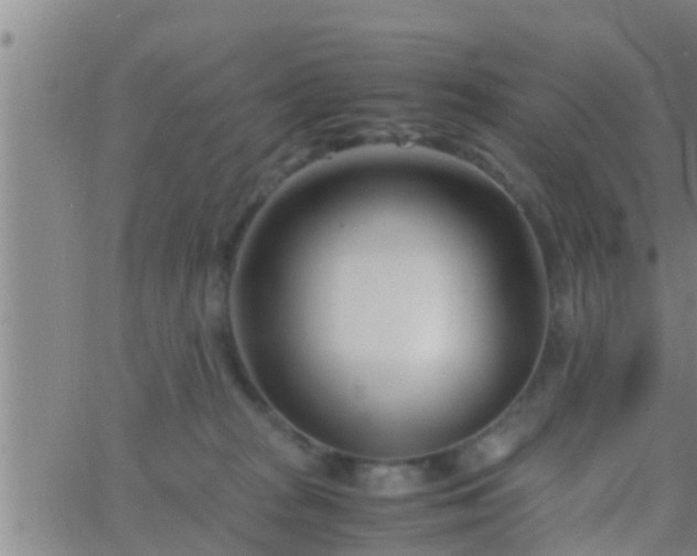 X0000063520277200601271843