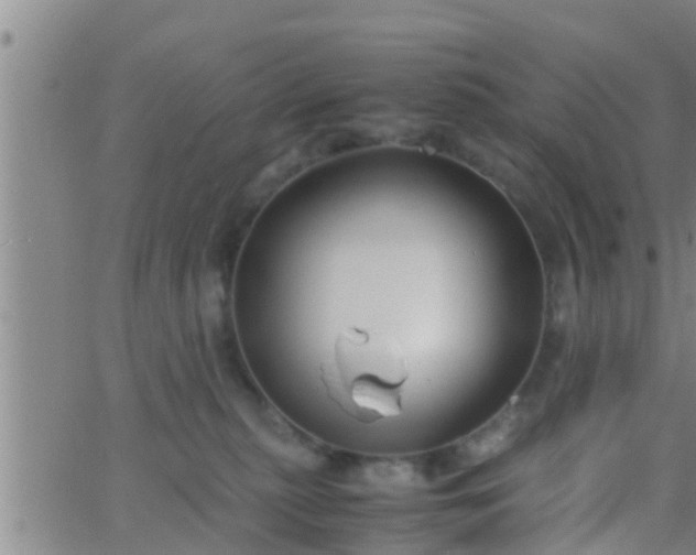 X0000063520279200601271843