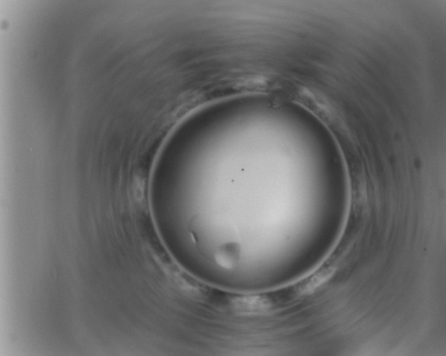 X0000063520281200601271843