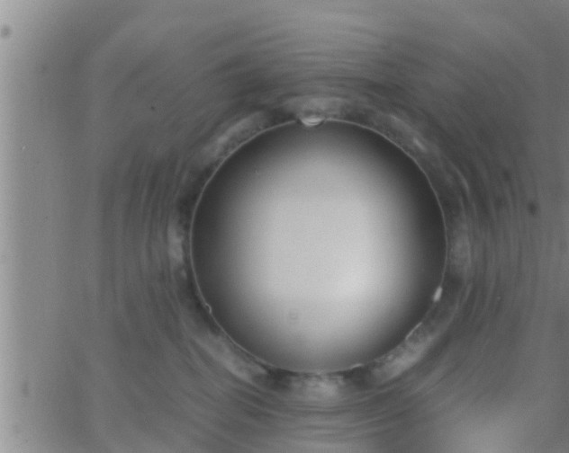 X0000063520282200601271843