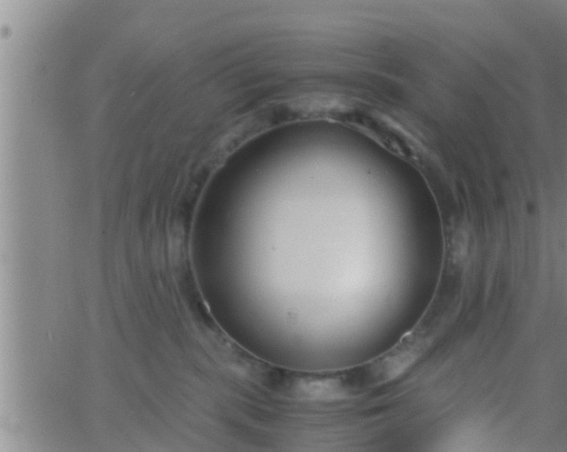 X0000063520283200601271844