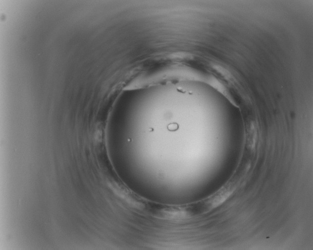 X0000063520284200601271844