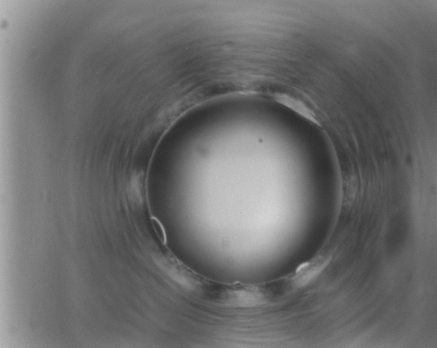 X0000063520286200601271844