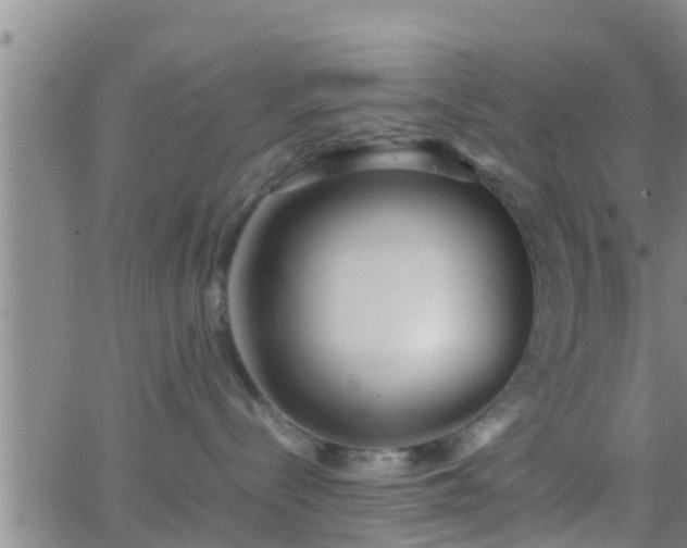 X0000063520288200601271844