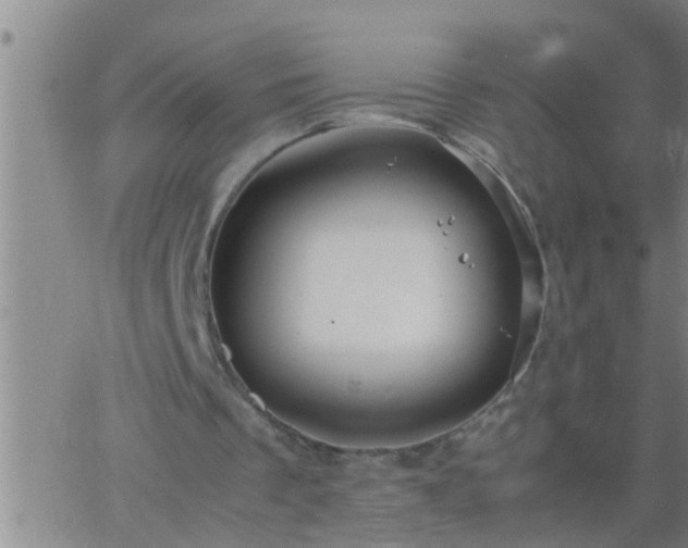 X0000063520289200601271843