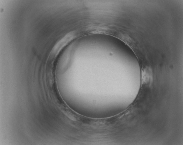 X0000063520291200601271843