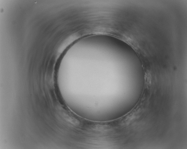 X0000063520292200601271843