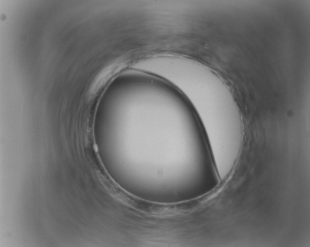 X0000063520293200601271843