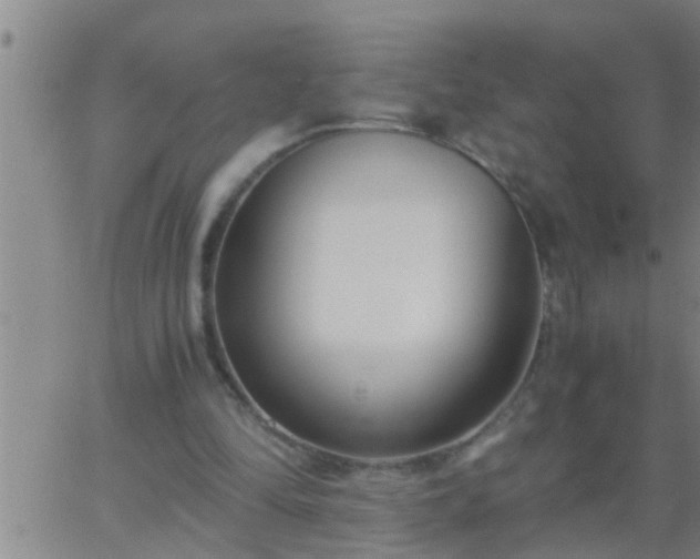 X0000063520294200601271843