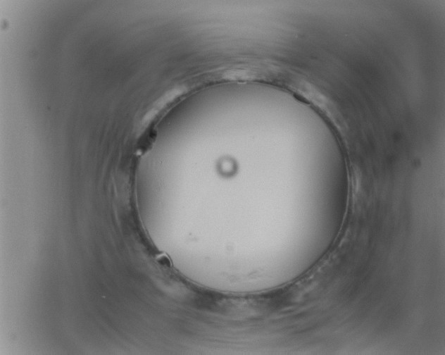 X0000063520297200601271843