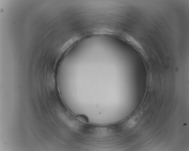 X0000063520298200601271843