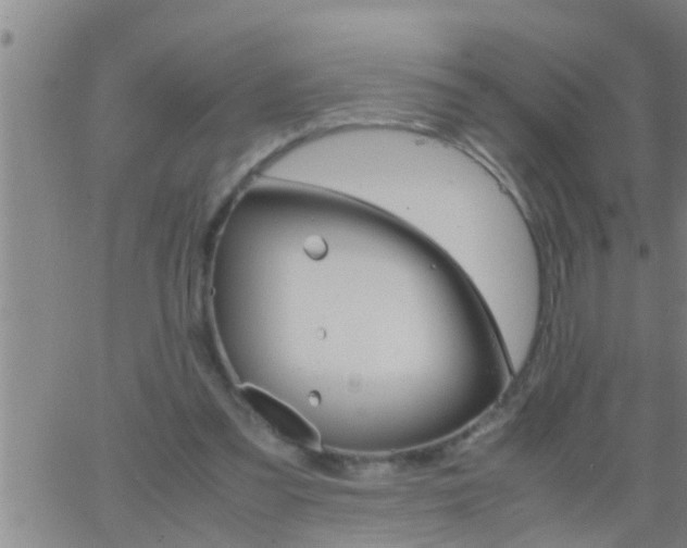 X0000063520301200601271843