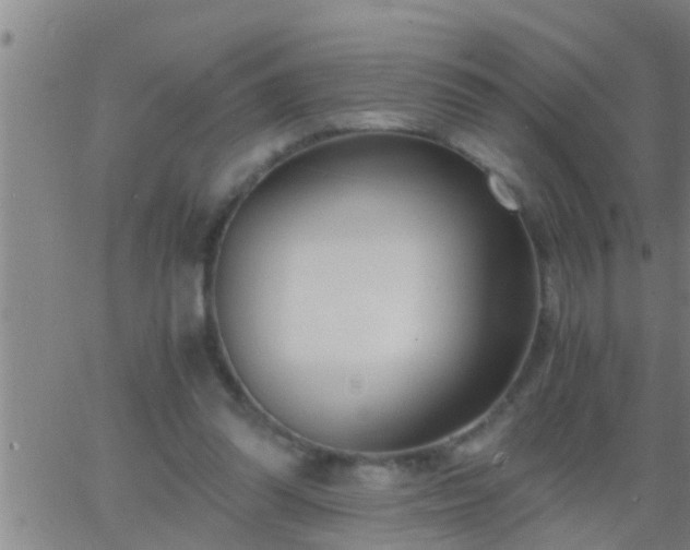 X0000063520302200601271843