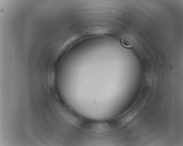 X0000063520304200601271843