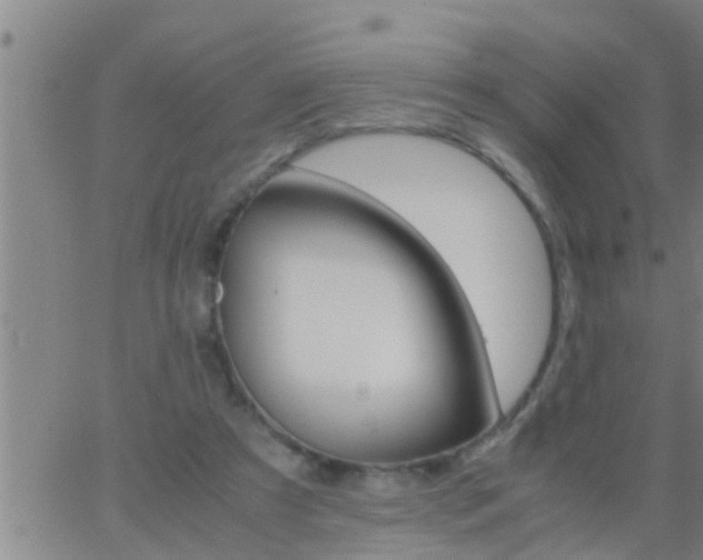 X0000063520305200601271843