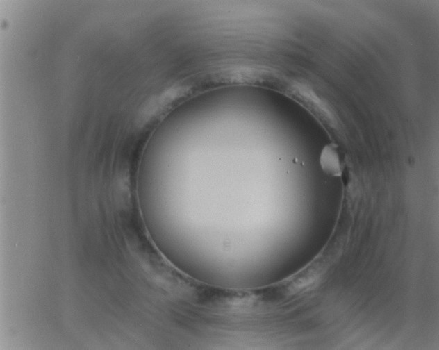 X0000063520306200601271843