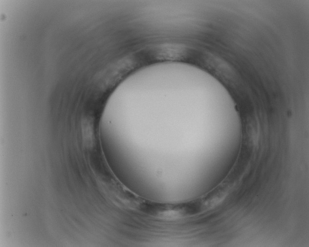 X0000063520312200601271842