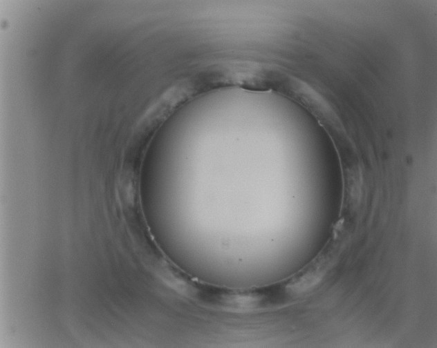 X0000063520313200601271842