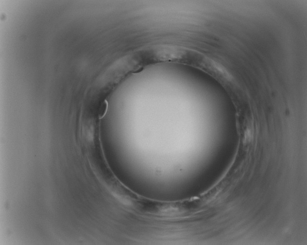 X0000063520315200601271842