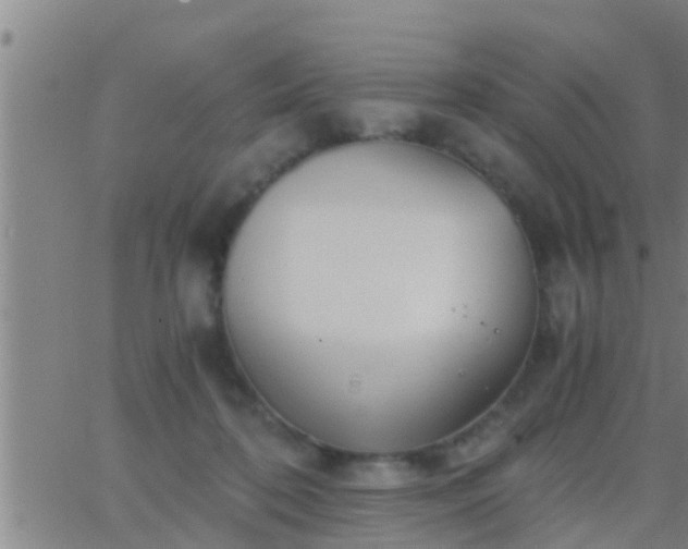 X0000063520316200601271842