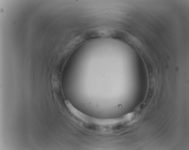 X0000063520317200601271842