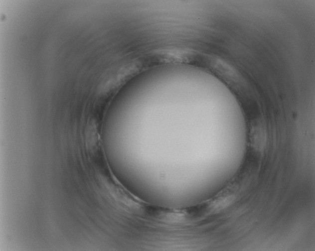 X0000063520318200601271842