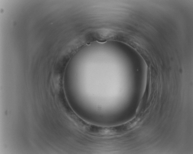 X0000063520319200601271842