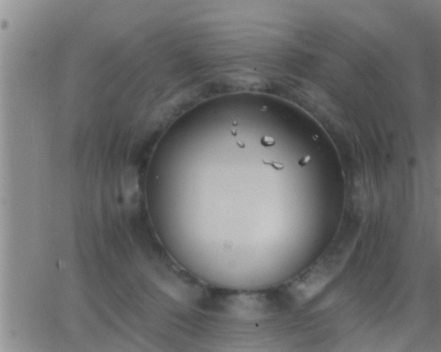 X0000063520320200601271842