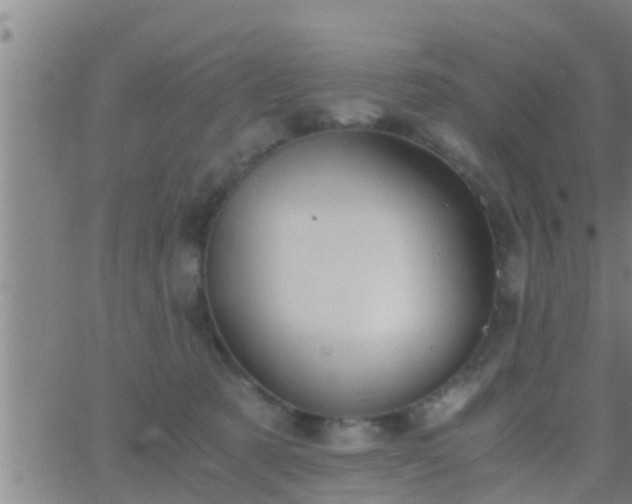 X0000063520321200601271842