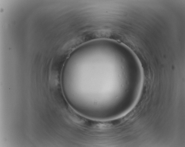 X0000063520323200601271842