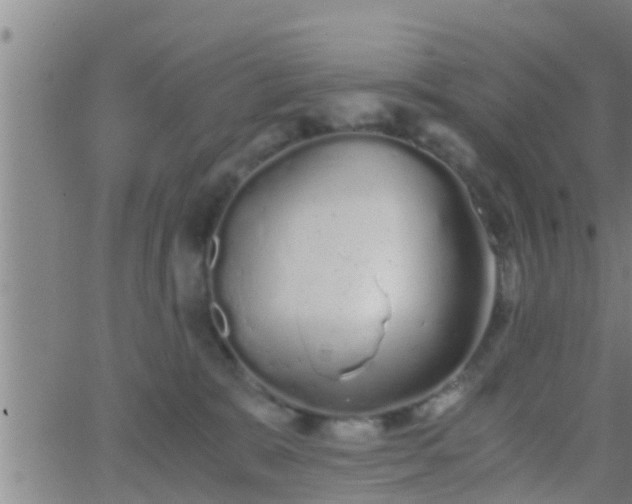 X0000063520327200601271842