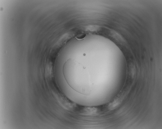 X0000063520328200601271842