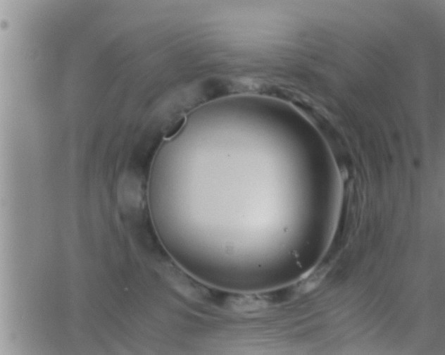 X0000063520331200601271842