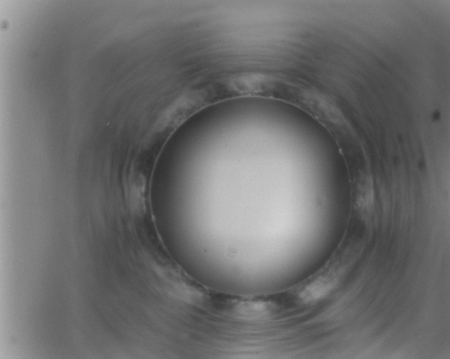 X0000063520332200601271842