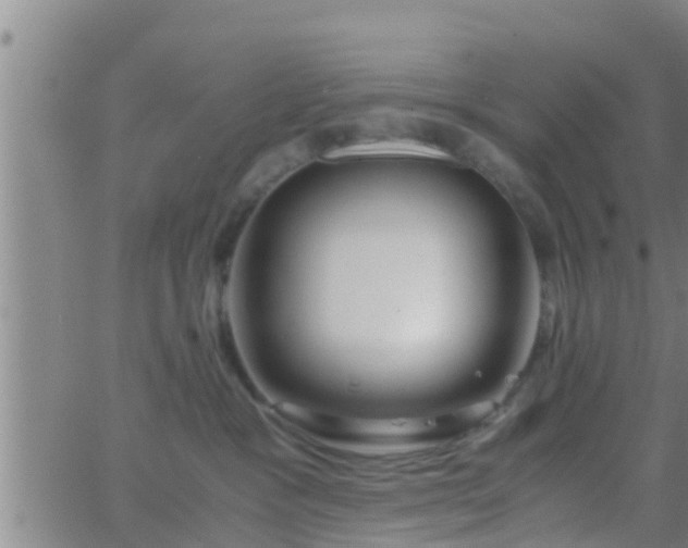 X0000063520333200601271842