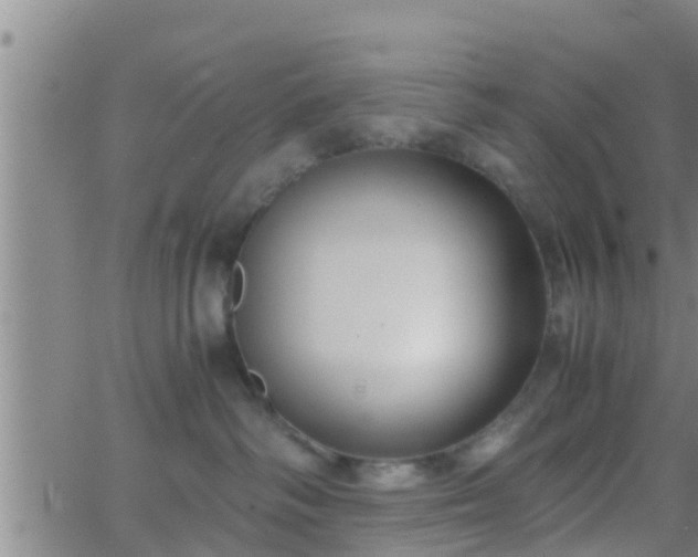 X0000063520334200601271842