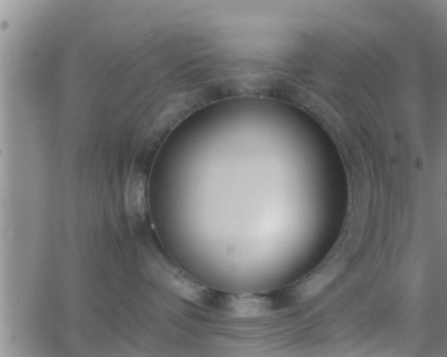 X0000063520336200601271842