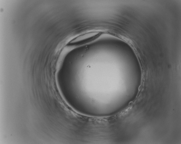 X0000063520337200601271841