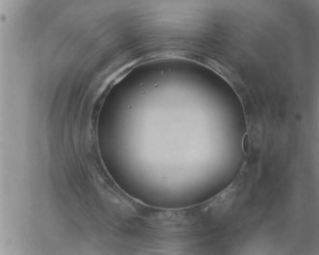 X0000063520338200601271841