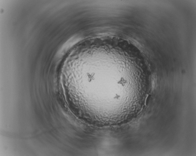 X0000063520339200601271841