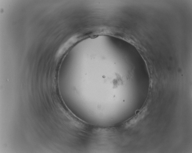 X0000063520341200601271841