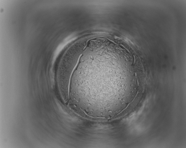 X0000063520343200601271841