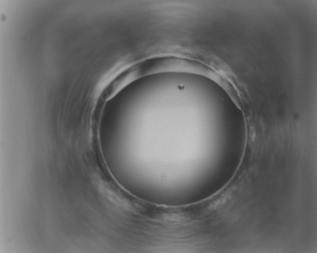 X0000063520344200601271841