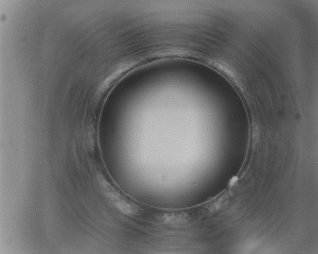 X0000063520345200601271841