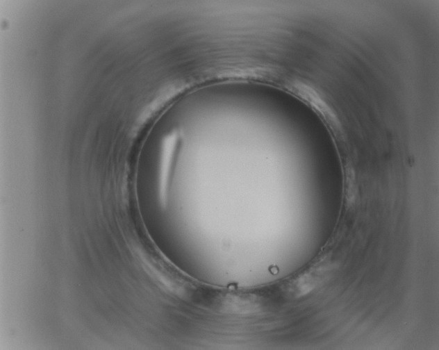 X0000063520346200601271841